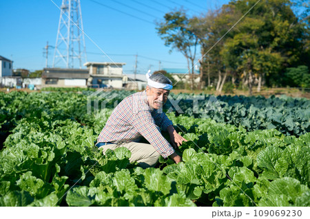 畑で農作業する男性 109069230
