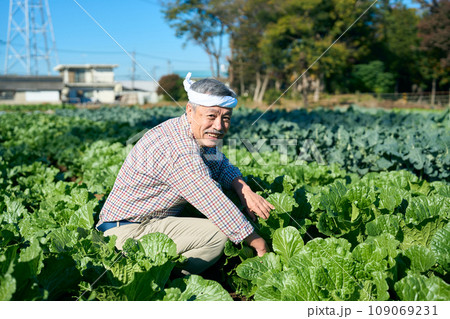 畑で農作業する男性 畑で農作業する男性 109069231