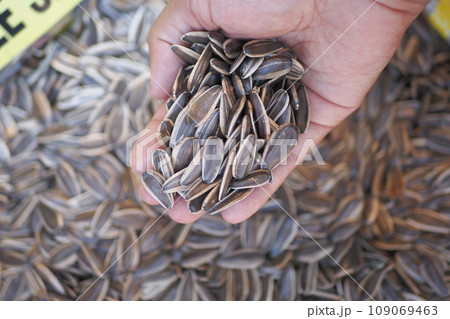 top view of Pumpkin seeds on hand top view of Pumpkin seeds on hand 109069463
