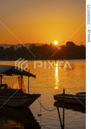 秋の京都　朝焼けに染まる嵐山渡月橋 109069525