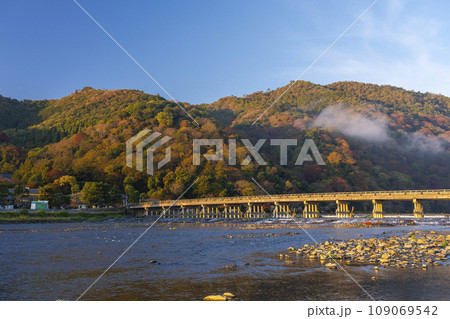 秋の京都嵐山　朝日を浴びて黄金色に輝く渡月橋 109069542