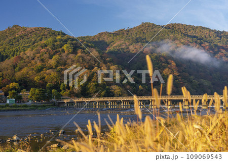 秋の京都嵐山　朝日を浴びて黄金色に輝く渡月橋 109069543