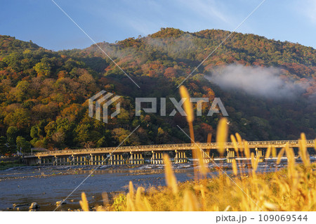 秋の京都嵐山 朝日を浴びて黄金色に輝く渡月橋 秋の京都嵐山 朝日を浴びて黄金色に輝く渡月橋 109069544