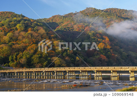 秋の京都嵐山 朝日を浴びて黄金色に輝く渡月橋 秋の京都嵐山 朝日を浴びて黄金色に輝く渡月橋 109069548