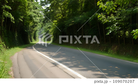 緑に囲まれた道 109070207
