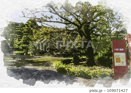 水彩画風　東京三宅坂　国立劇場　東京都千代田区 109071427