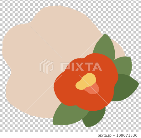 Simple camellia illustration 109071530