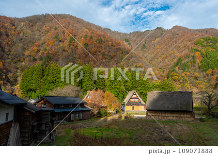 爽やかな秋の紅葉シーズンを迎えた世界遺産　五箇山　菅沼合掌造り集落｜富山県南砺市 109071888