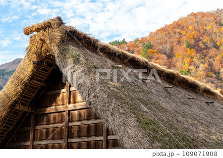 爽やかな秋の紅葉シーズンを迎えた世界遺産　五箇山　菅沼合掌造り集落｜富山県南砺市 109071908