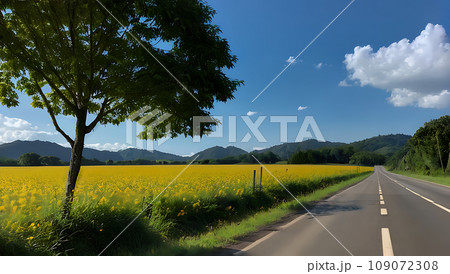菜の花畑のある風景 菜の花畑のある風景 109072308