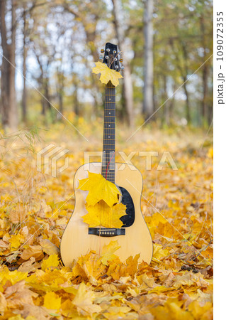 guitar in autumn leaves guitar in autumn leaves 109072355