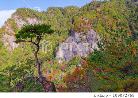 秋の鳳来寺山　鏡岩（愛知県新城市） 109072769