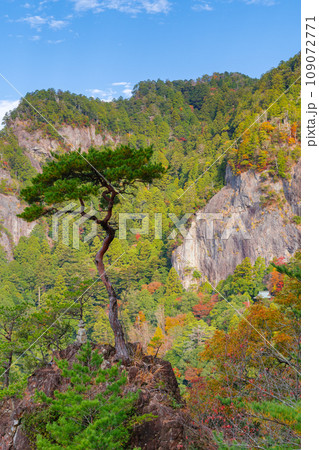 秋の鳳来寺山 鏡岩(愛知県新城市) 秋の鳳来寺山 鏡岩(愛知県新城市) 109072771