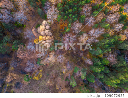 Aerial drone view of stunning colorful autumn fall forest. Aerial drone view of stunning colorful autumn fall forest. 109072925