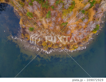 Colorful autumn forest with trees on the shore of a blue lake - top aerial view. Colorful autumn forest with trees on the shore of a blue lake - top aerial view. 109072929