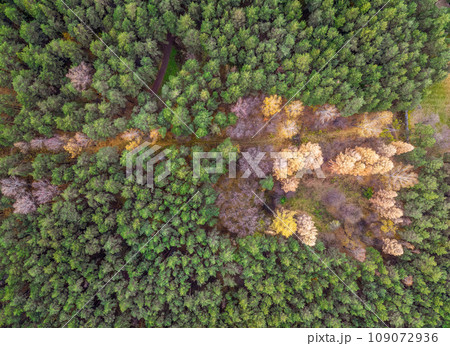 Aerial drone view of stunning colorful autumn fall forest. Aerial drone view of stunning colorful autumn fall forest. 109072936