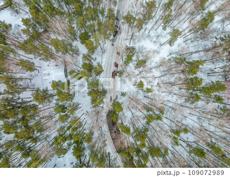 Flight over the winter mountains with road serpentine and pine forest. Top down view. Landscape photography 109072989