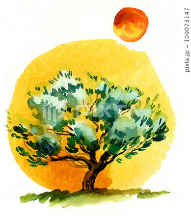 Olive tree and sun. Hand-drawn ink and watercolor sketch 109073147