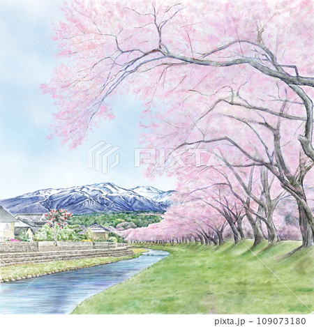 【a。ページ】桜島 山の絵 風景画 海 桜 桜絵 鳥海山と桜並木のイラスト素材 [109073180] - PIXTA
