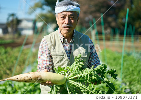 採れたての大根を手に持つ男性 109073371