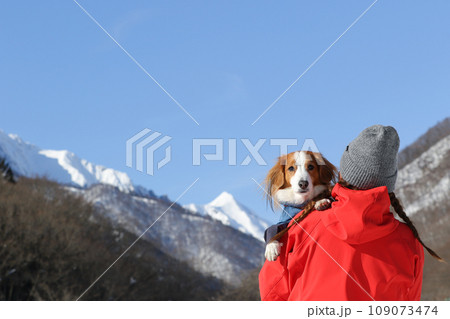 空と山をバックに飼い主の女性に抱っこされるコーイケルホンディエ 空と山をバックに飼い主の女性に抱っこされるコーイケルホンディエ 109073474
