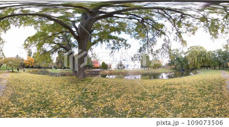 秋深まる公園 秋深まる公園 109073506