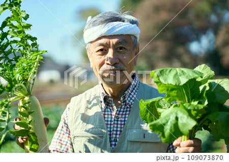 採れたての野菜を手に持つ男性 109073870