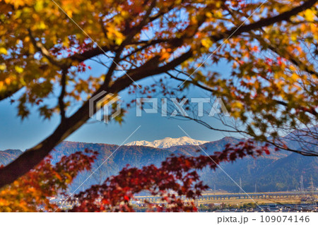 紅葉をむかえた西山公園のモミジ 109074146