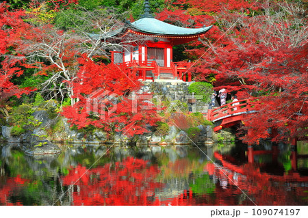 【京都府】シンメトリーな醍醐寺の紅葉(弁天池と弁天橋と弁天堂) 【京都府】シンメトリーな醍醐寺の紅葉(弁天池と弁天橋と弁天堂) 109074197