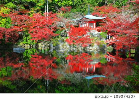 【京都府】シンメトリーな醍醐寺の紅葉（弁天池と弁天橋と弁天堂） 109074207