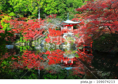 【京都府】シンメトリーな醍醐寺の紅葉（弁天池と弁天橋と弁天堂） 109074213