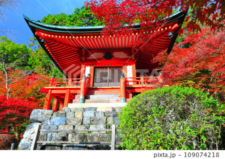 【京都府】晴天の醍醐寺の弁天堂の紅葉 109074218