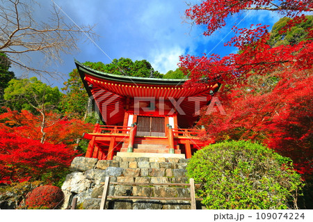 【京都府】晴天の醍醐寺の弁天堂の紅葉 【京都府】晴天の醍醐寺の弁天堂の紅葉 109074224