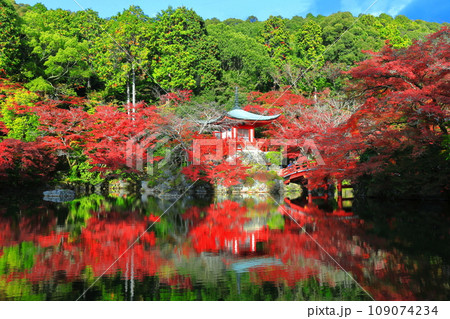 【京都府】シンメトリーな醍醐寺の紅葉（弁天池と弁天橋と弁天堂） 109074234