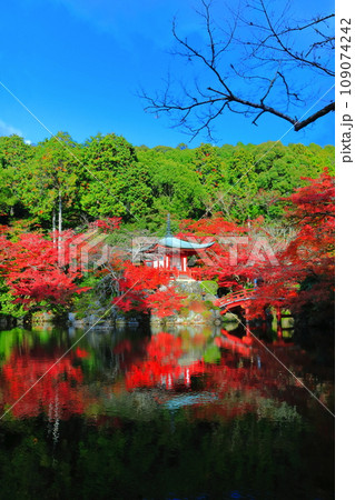 【京都府】シンメトリーな醍醐寺の紅葉(弁天池と弁天橋と弁天堂) 【京都府】シンメトリーな醍醐寺の紅葉(弁天池と弁天橋と弁天堂) 109074242