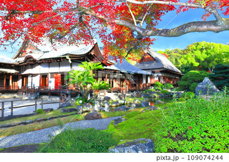 【京都府】醍醐寺 三宝院庭園の紅葉 【京都府】醍醐寺 三宝院庭園の紅葉 109074244