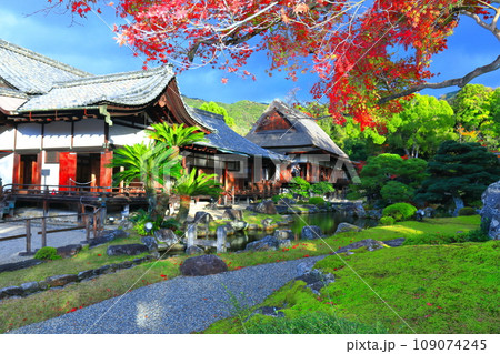 【京都府】醍醐寺 三宝院庭園の紅葉 【京都府】醍醐寺 三宝院庭園の紅葉 109074245