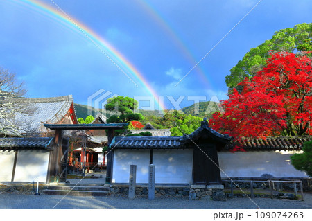 【京都府】醍醐寺 三宝院庭園の紅葉と虹 【京都府】醍醐寺 三宝院庭園の紅葉と虹 109074263