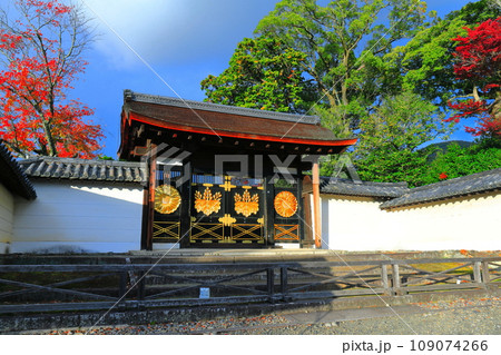 【京都府】晴天の醍醐寺の弁天堂の紅葉 【京都府】晴天の醍醐寺の弁天堂の紅葉 109074266