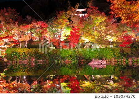 【京都府】シンメトリーな永観堂の多宝塔と紅葉のライトアップ（夜間特別拝観） 109074270