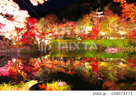 【京都府】シンメトリーな永観堂の多宝塔と紅葉のライトアップ（夜間特別拝観） 109074271