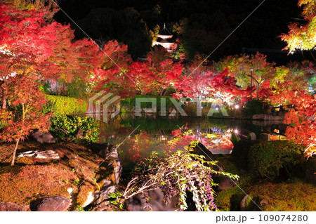 【京都府】シンメトリーな永観堂の多宝塔と紅葉のライトアップ(夜間特別拝観) 【京都府】シンメトリーな永観堂の多宝塔と紅葉のライトアップ(夜間特別拝観) 109074280