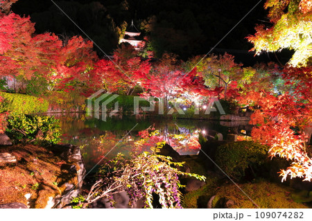【京都府】シンメトリーな永観堂の多宝塔と紅葉のライトアップ(夜間特別拝観) 【京都府】シンメトリーな永観堂の多宝塔と紅葉のライトアップ(夜間特別拝観) 109074282