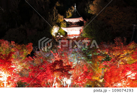 【京都府】永観堂の多宝塔と紅葉ライトアップ（夜間特別拝観） 109074293