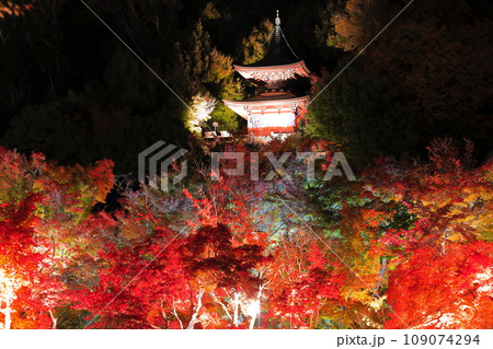 【京都府】永観堂の多宝塔と紅葉ライトアップ（夜間特別拝観） 109074294