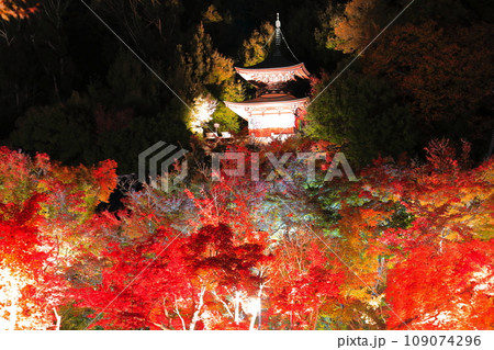 【京都府】永観堂の多宝塔と紅葉ライトアップ（夜間特別拝観） 109074296