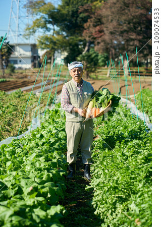 農作物を抱える農家の男性 109074533