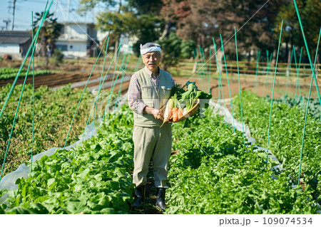 農作物を抱える農家の男性 農作物を抱える農家の男性 109074534