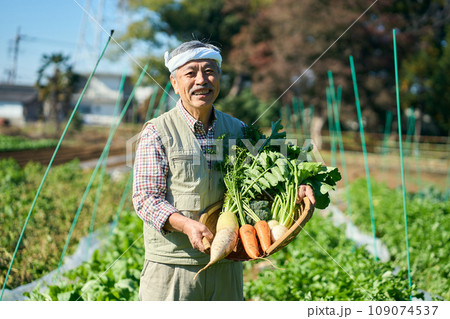 農作物を抱える農家の男性 109074537