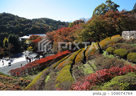 勝尾寺・11月【大阪府箕面市／西国三十三所第23番札所】 109074764